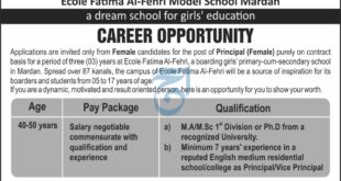 Elementary and Secondary Education Department ESED jOBS